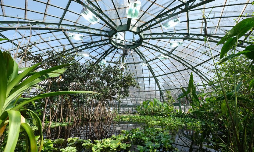 University of Basel Botanical Garden, Switzerland